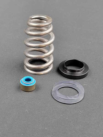 .660" Valve Spring Kit for 6.2 & 6.4 Gen 3 Hemi (except Demon)