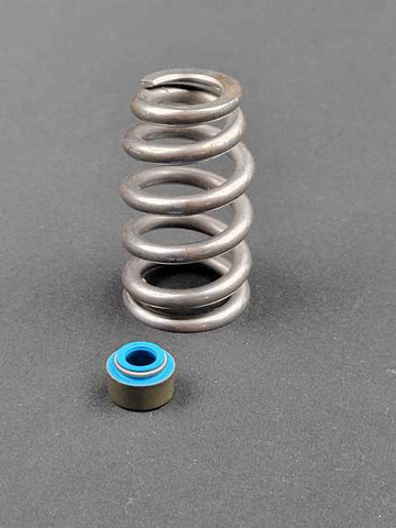 .650" Valve Spring Kit for 5.7 Eagle (Late 2009 up) Gen 3 Hemi