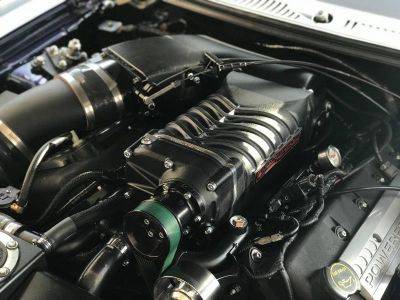 ترقية سوبرتشارجر Whipple - 2003-2004 Ford Mustang Cobra W175AX 2.9L Whipple Supercharger Upgrade Kit for Aftermarket Oval Throttle Body