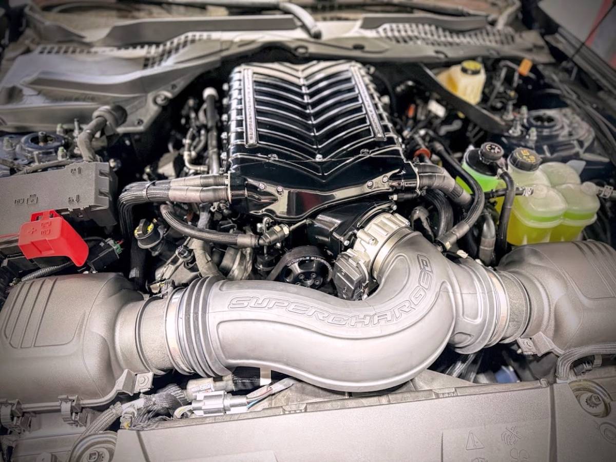 طقم سوبرتشارجر Whipple - 2024-2026 Ford Mustang GT / Dark Horse 5.0L S650 Gen 6 3.0L Whipple Stage 1 Supercharger Kit - 50-State Legal with 3-Year / 36,000-Mile Powertrain Warranty طقم سوبرتشارجر Whipple - 2024-2026 Ford Mustang GT / Dark Horse 5.0L S650 Gen 6 3.0L Whipple Stage 1 Supercharger Kit - 50-State Legal with 3-Year / 36,000-Mile Powertrain Warranty