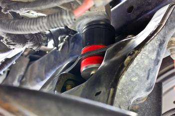 BMR Suspension Bushing for Mustang
