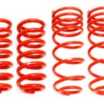 BMR Suspension Springs for Shelby GT500 2007-2014