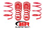 نوابض تعليق BMR Suspension لـ Shelby GT500 2007-2014
