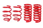 نوابض تعليق BMR Suspension لـ Mustang 2015-2023