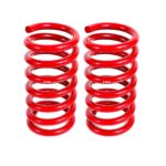 BMR Suspension Bushing for Mustang