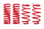 BMR Suspension Springs for Dodge Challenger 2008-2023