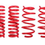 BMR Suspension Springs for Dodge Challenger 2008-2023