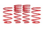 BMR Suspension Springs for Pontiac G8 2008-2009