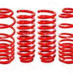 BMR Suspension Springs for Trailblazer 2002-2009