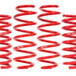 نوابض تعليق BMR Suspension لـ Dodge Charger 2006-2023