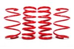 نوابض تعليق BMR Suspension لـ Mustang 2015-2023